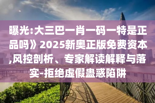 曝光:大三巴一肖一碼一特是正品嗎》2025新奧正版免費資本,風控剖析、專家解讀解釋與落實-拒絕虛假蠱惑陷阱