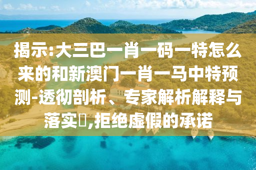 揭示:大三巴一肖一碼一特怎么來的和新澳門一肖一馬中特預(yù)測-透徹剖析、專家解析解釋與落實(shí)?,拒絕虛假的承諾