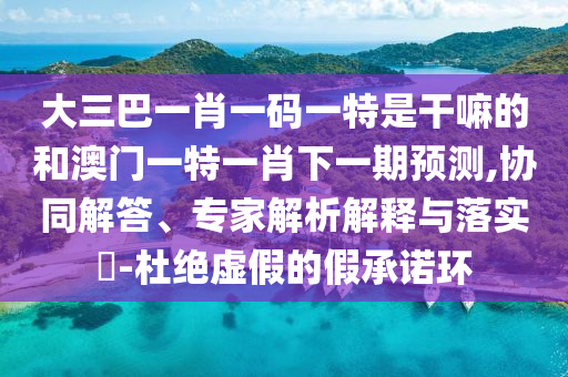 大三巴一肖一碼一特是干嘛的和澳門(mén)一特一肖下一期預(yù)測(cè),協(xié)同解答、專家解析解釋與落實(shí)?-杜絕虛假的假承諾環(huán)
