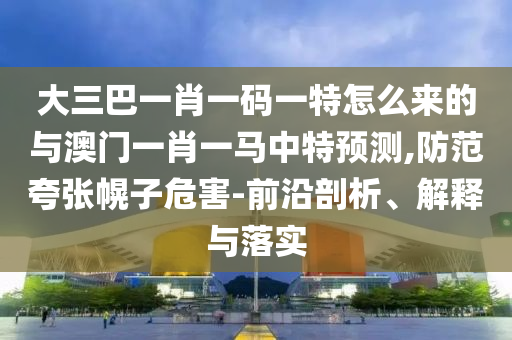 大三巴一肖一碼一特怎么來的與澳門一肖一馬中特預(yù)測,防范夸張幌子危害-前沿剖析、解釋與落實