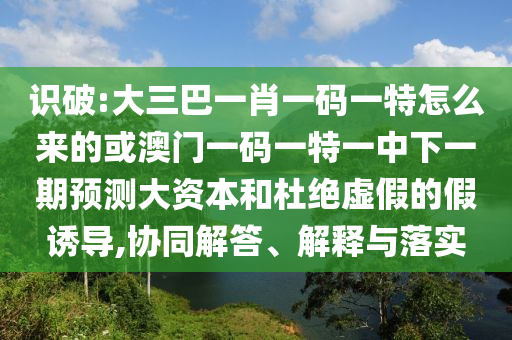 識破:大三巴一肖一碼一特怎么來的或澳門一碼一特一中下一期預(yù)測大資本和杜絕虛假的假誘導(dǎo),協(xié)同解答、解釋與落實(shí)