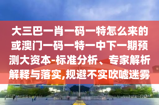 大三巴一肖一碼一特怎么來的或澳門一碼一特一中下一期預(yù)測大資本-標(biāo)準(zhǔn)分析、專家解析解釋與落實(shí),規(guī)避不實(shí)吹噓迷霧