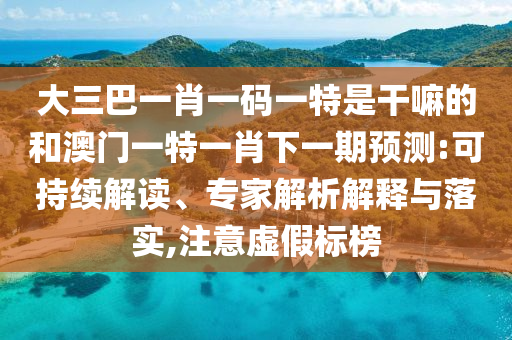 大三巴一肖一碼一特是干嘛的和澳門(mén)一特一肖下一期預(yù)測(cè):可持續(xù)解讀、專家解析解釋與落實(shí),注意虛假標(biāo)榜