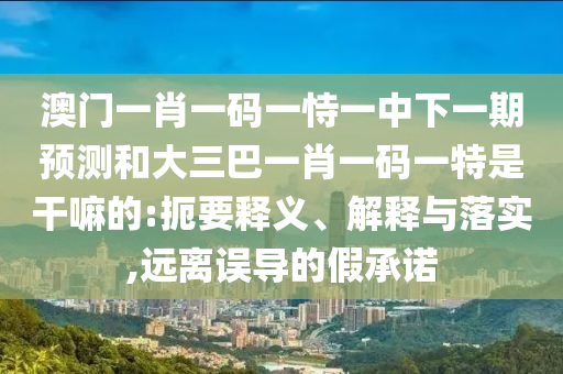 澳門一肖一碼一恃一中下一期預(yù)測(cè)和大三巴一肖一碼一特是干嘛的:扼要釋義、解釋與落實(shí),遠(yuǎn)離誤導(dǎo)的假承諾