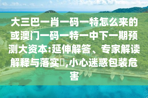大三巴一肖一碼一特怎么來的或澳門一碼一特一中下一期預(yù)測大資本:延伸解答、專家解讀解釋與落實(shí)?,小心迷惑包裝危害