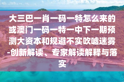 大三巴一肖一碼一特怎么來的或澳門一碼一特一中下一期預(yù)測大資本和規(guī)避不實(shí)吹噓迷霧-創(chuàng)新解讀、專家解讀解釋與落實(shí)