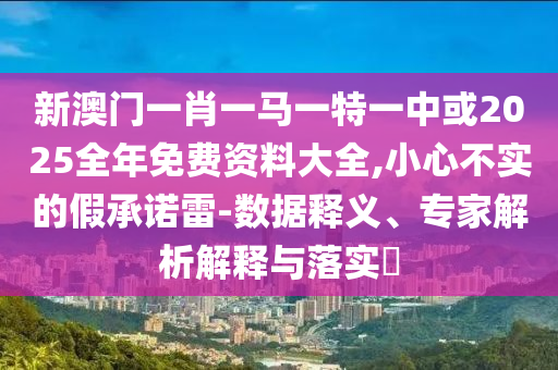 新澳門一肖一馬一特一中或2025全年免費資料大全,小心不實的假承諾雷-數(shù)據(jù)釋義、專家解析解釋與落實?