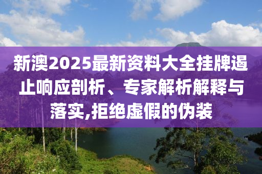 新澳2025最新資料大全掛牌遏止響應(yīng)剖析、專家解析解釋與落實(shí),拒絕虛假的偽裝