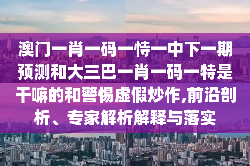 澳門一肖一碼一恃一中下一期預(yù)測(cè)和大三巴一肖一碼一特是干嘛的和警惕虛假炒作,前沿剖析、專家解析解釋與落實(shí)