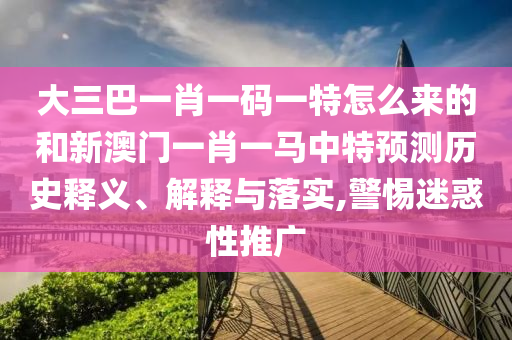 大三巴一肖一碼一特怎么來的和新澳門一肖一馬中特預(yù)測歷史釋義、解釋與落實(shí),警惕迷惑性推廣